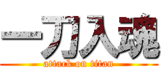一刀入魂 (attack on titan)