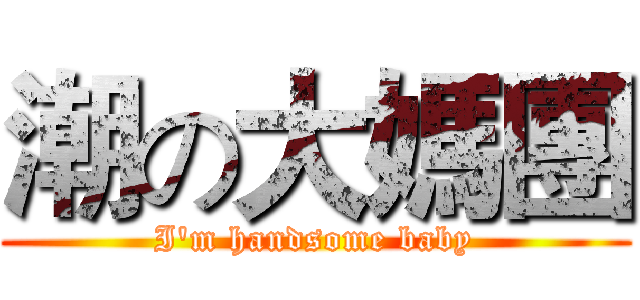 潮の大媽團 (I'm handsome baby)
