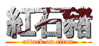 紅石豬 (attack on titan)