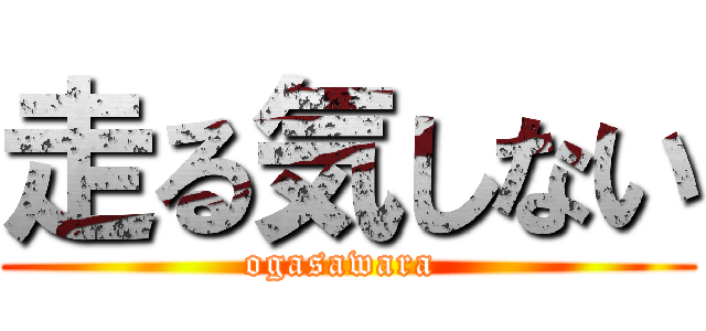 走る気しない (ogasawara )