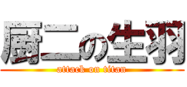厨二の生羽 (attack on titan)