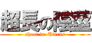 超長の陰莖 (shoot in  Uterus)