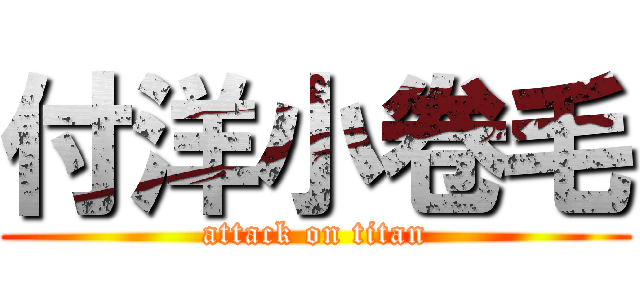 付洋小卷毛 (attack on titan)