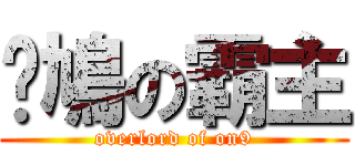 戆鳩の霸主 (overlord of on9)