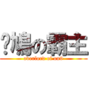 戆鳩の霸主 (overlord of on9)