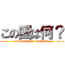 この国は何？ (what is this country?)