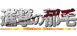 進撃の郁毛 (attack on titan)