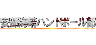 安部海晴ハンドボール部 (安)