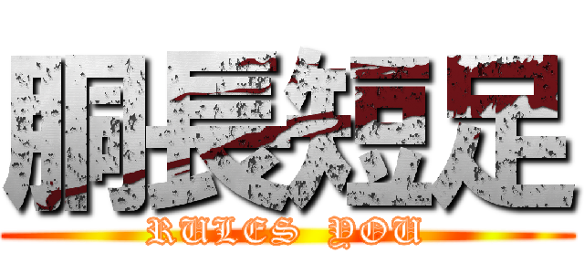 胴長短足 (RULES  YOU)