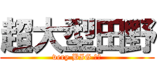 超大型田野 (very BIG 田野)