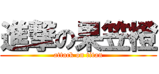 進撃の果笠橙 (attack on titan)