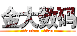 金大数码 (attack on titan)