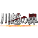 川越の鼻 (biggest of the world)