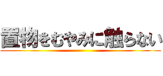 置物をむやみに触らない ()