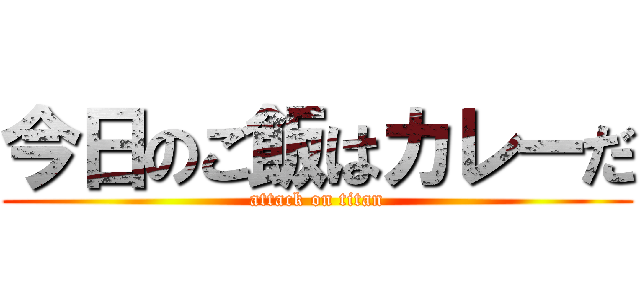 今日のご飯はカレーだ (attack on titan)