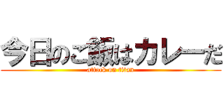 今日のご飯はカレーだ (attack on titan)