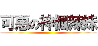 可惡の神楓辣妹 ()