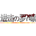 进击の罗啰嗦 (attack on titan)