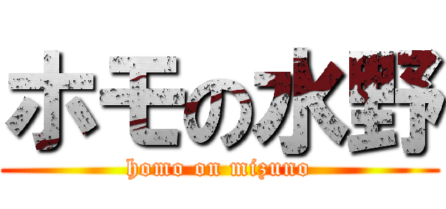 ホモの水野 (homo on mizuno)