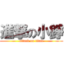 進撃の小錚 (attack on titan)