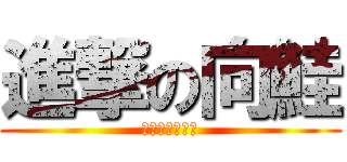 進撃の向鮭 (蘿莉控無誤！！)