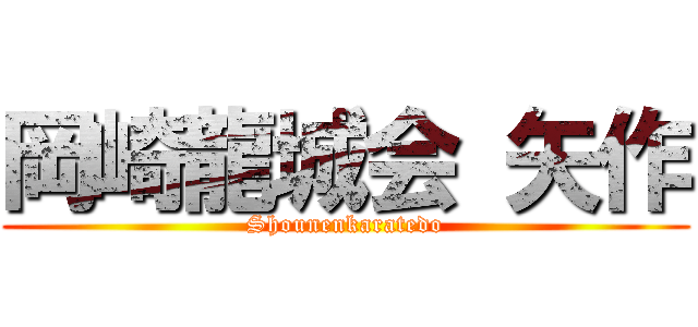 岡崎龍城会 矢作 (Shounenkaratedo)