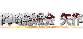 岡崎龍城会 矢作 (Shounenkaratedo)