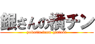 銀さんの横チン (yokotin from gintoki)