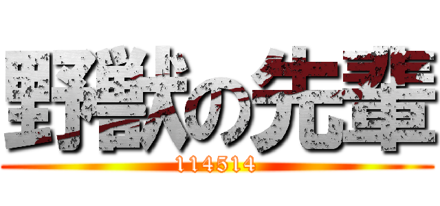 野獣の先輩 (114514)