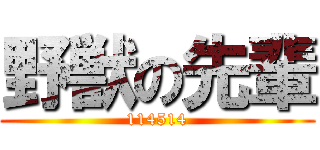 野獣の先輩 (114514)