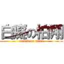 白癡の柏翔 (attack on titan)