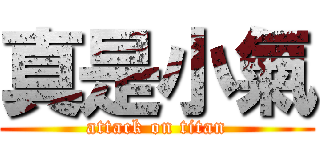 真是小氣 (attack on titan)