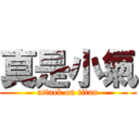 真是小氣 (attack on titan)