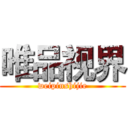 唯品视界 (weipinshijie)