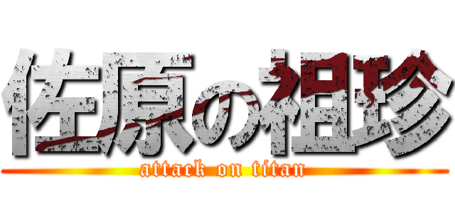 佐原の祖珍 (attack on titan)