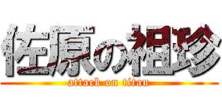 佐原の祖珍 (attack on titan)