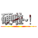 硬啦~！ ( )