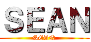 ＳＥＡＮ (SEAN)