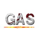 ＧＡＳ (gas)