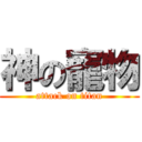 神の寵物 (attack on titan)