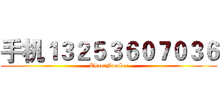 手机１３２５３６０７０３６ (PhoneNumber)