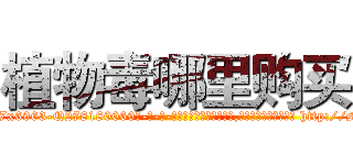 植物毒哪里购买 (植物毒哪里购买【电-186x2687x6963-Q278180069元-吉-药-业】我们做的是长期生意,靠的是老客户长期支持 http://sngk.net/7LogLs
)