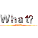 Ｗｈａｔ？ (What?)