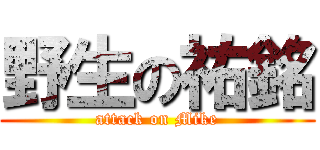 野生の祐銘 (attack on Mike)