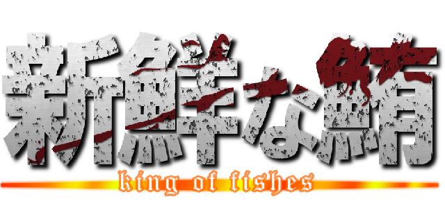 新鮮な鮪 (king of fishes)