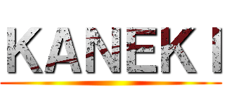 ＫＡＮＥＫＩ ()