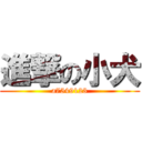 進撃の小犬 (a7549123)