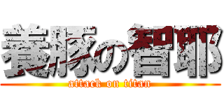 養豚の智耶 (attack on titan)