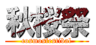 秋桜祭 (cosmosfestibal)