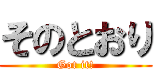 そのとおり (Got it!)